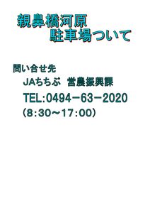 thumbnail of 親鼻河原
