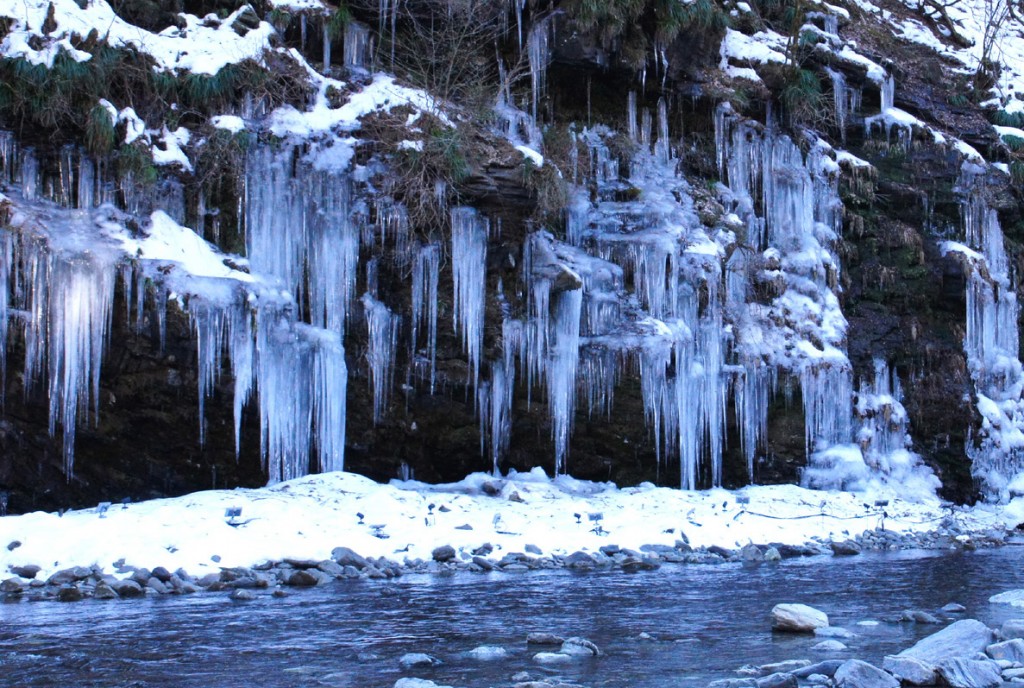 三十槌の氷柱（天然）