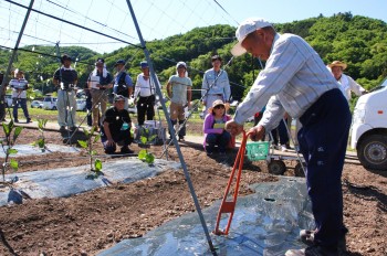 ナスの植付をする冨田さん