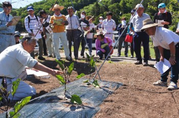 圃場にて講習を受ける部会員たち