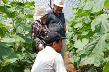 圃場確認