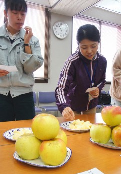 おいしいリンゴを審査