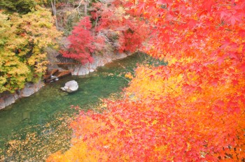 奥秩父の紅葉