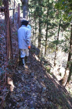 いくつかの圃場へは、山間の道を進んでいきます