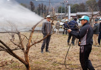 粗皮削りをする支部員