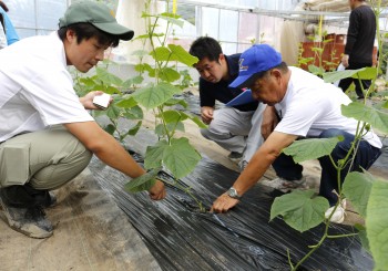 圃場を確認する部会員やＪＡ職員たち