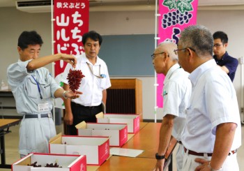 外観や形状を審査