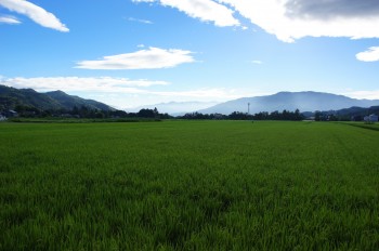 太田地区の田園