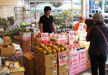 模擬店や農産物等の特売