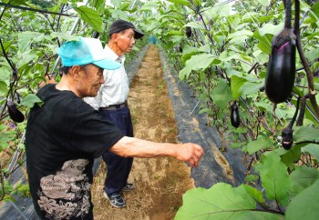 各圃場を確認