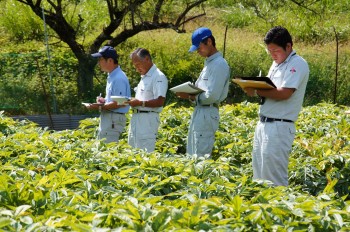 各圃場を審査