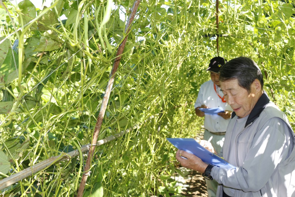 管理と生育状況を確認する審査員らHP