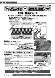 thumbnail of 広報やまなみ5月 鳥獣害対策