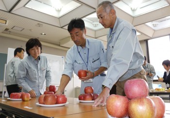 秩父産リンゴの審査