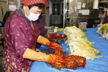 白菜にキムチの素を１枚ずつすり込む