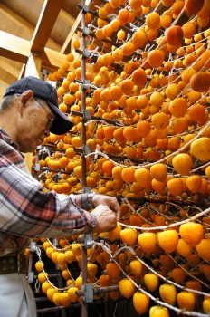 良質なあんぽ柿の生産