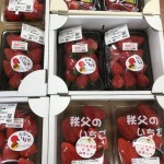 YBBS8479[1]