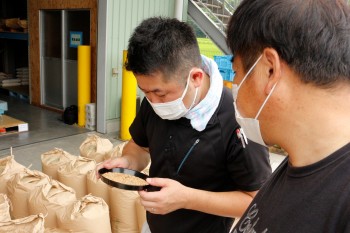 ちちぶ 小麦出荷検査 R3.7.14 ヨコ