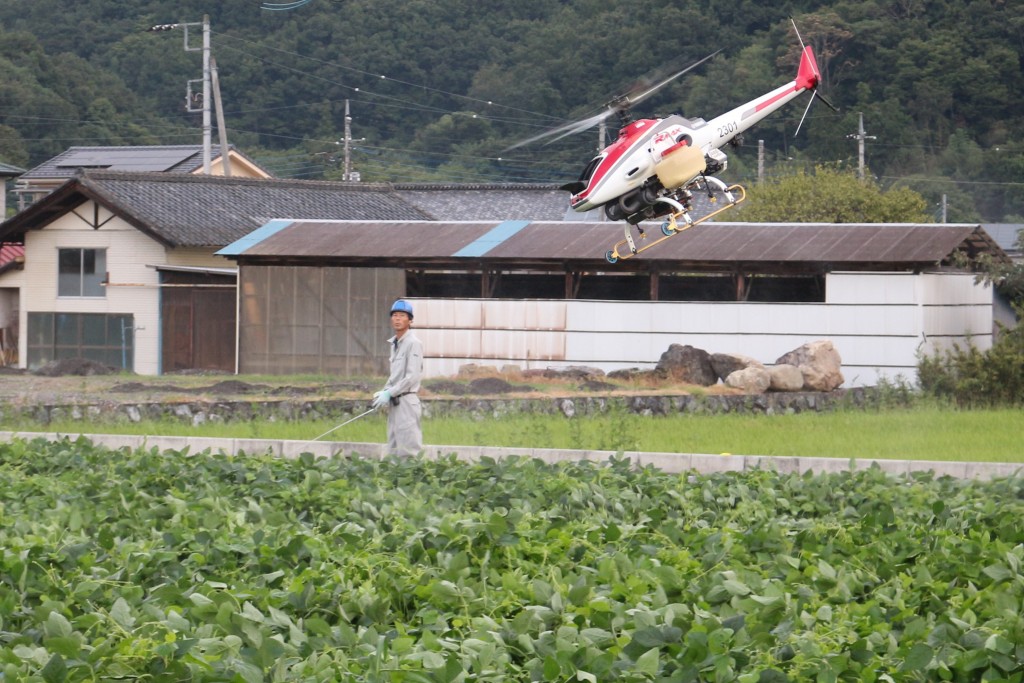 大豆空中散布