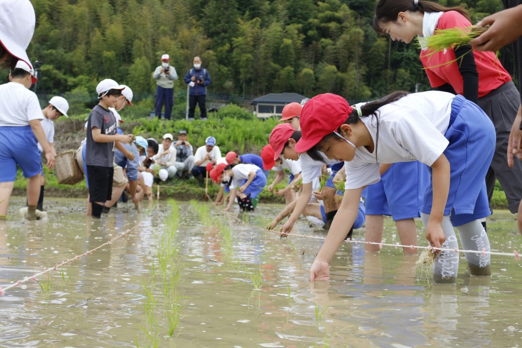 ちちぶ 吉田小学校田植え体験 R5.6.6 ヨコ１