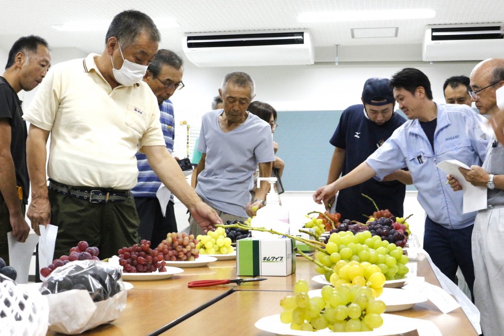 ⑦次代主力ブドウの検討会