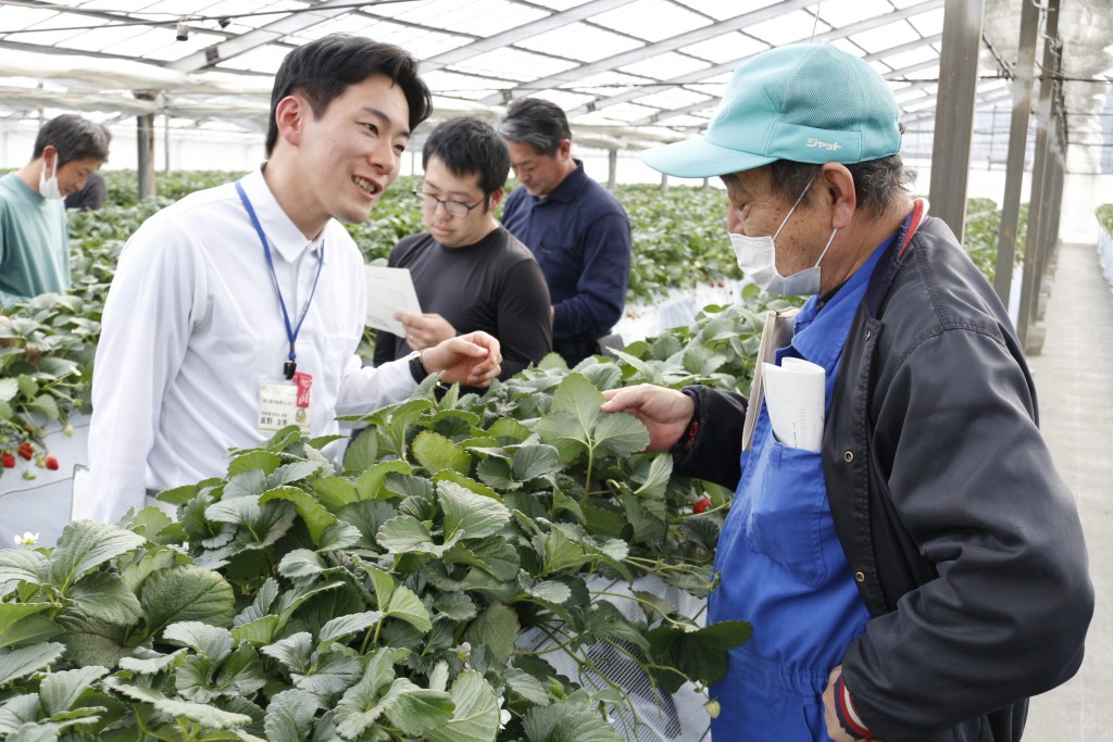 いちご部会現地研修会