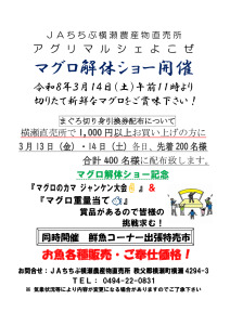 マグロ解体ショー(横瀬)チラシのサムネイル